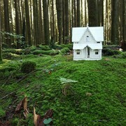 Forest Dollhouse