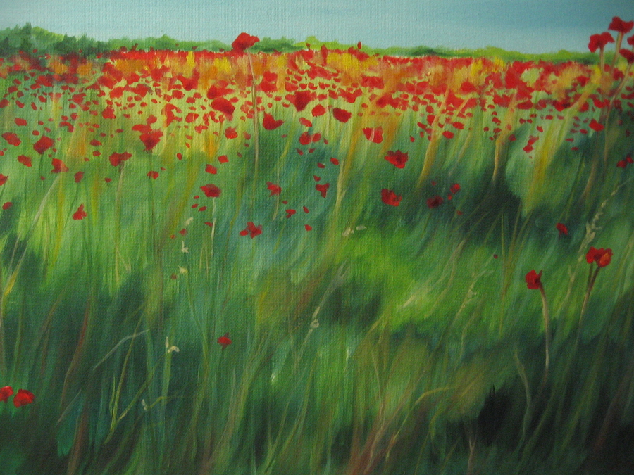 Poppy Field