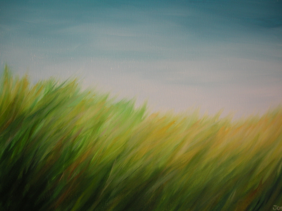 Tall Summer Grass